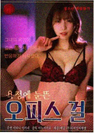 韩国电视剧在线观看：海雾食堂海报